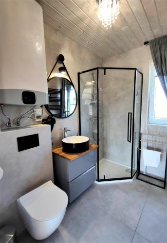 a bathroom with a shower and a toilet and a sink at Słońce i Woda Domki Całoroczne, Podgrzewany Basen, Balia z jacuzzi, Starlink Internet, Klimatyzacja, Bezpłatny Parking in Łeba