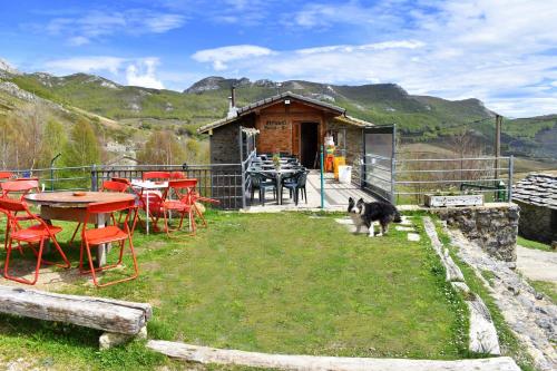 a dog walking in front of a cabin with a table and chairs at Refugio Castro Valnera in Espinosa de los Monteros