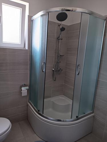 a shower with a glass door in a bathroom at Apartment Hinic in Vrhovine