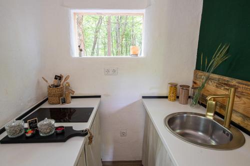 a small kitchen with a sink and a sink at Living Forest Resort in Moravske-Toplice