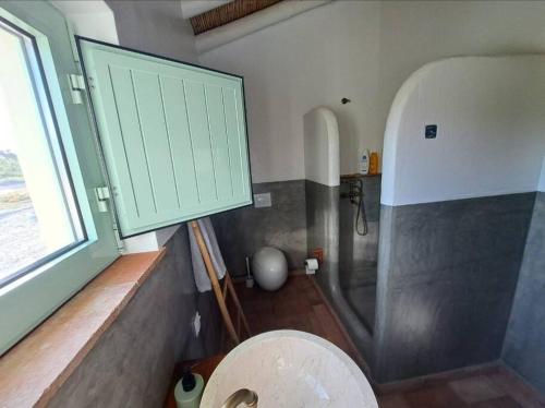 baño con aseo y ducha con ventana en Casa na horta, planície alentejana 