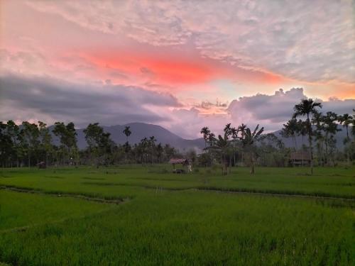 Landskap semula jadi dekat dengan rumah tamu ini