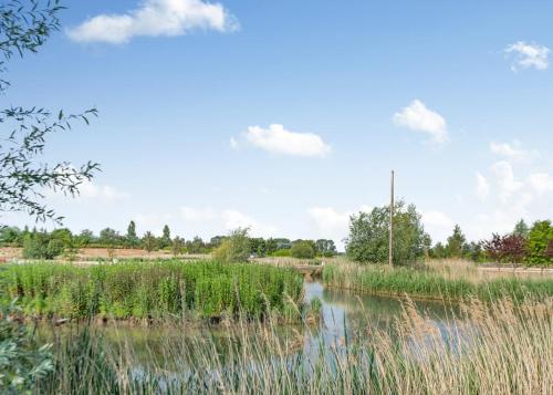 a river in a field with tall grass at Serenity Lakes in Fleet