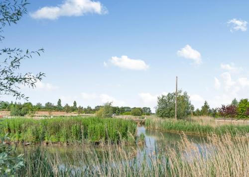 a river in a field with tall grass at Nice Home In Fleet With Wifi 