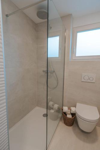 a bathroom with a shower and a toilet at APARTMA LAMBERGER in Žirovnica