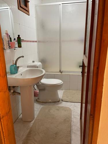 a bathroom with a toilet and a sink and a shower at A room which close to the centre of Istanbul , 10 minutes to metro in Istanbul