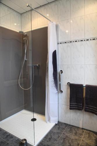 Bilik mandi di Ferienhaus Dröfter Blick