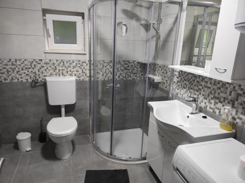 a bathroom with a shower and a toilet and a sink at Lika Relax and Party House with sauna, jacuzzi and outdoor heated swimming pool in Lovinac
