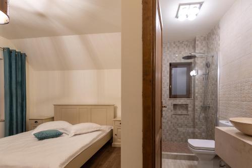 a bathroom with a bed and a shower and a toilet at Grand Lake House in Giurcuţa de Sus