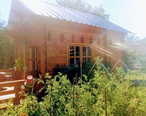 Massay的住宿－Agréable chalet en bois et son extérieur，前面设有花园的木屋