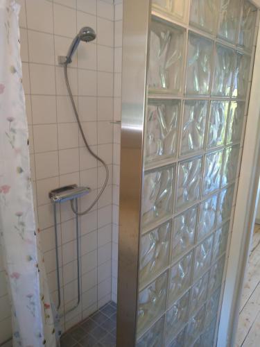 uma casa de banho com um chuveiro com uma parede de bloco de vidro em Lodge åstön em Söråker