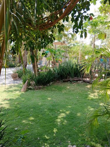 Taman di luar Playa de Bombora Inn