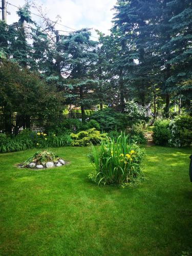 a yard with green grass and flowers and trees at zielony zakątek in Nowy Targ