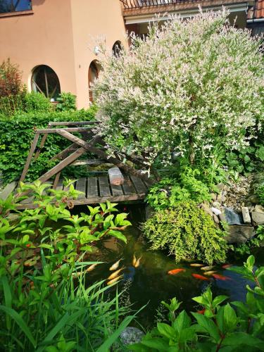 a bridge over a koi pond in a garden at zielony zakątek in Nowy Targ