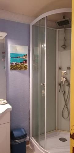 La salle de bains est pourvue d'une cabine de douche en verre. dans l'établissement Petite maison de vacances, à Pléneuf-Val-André