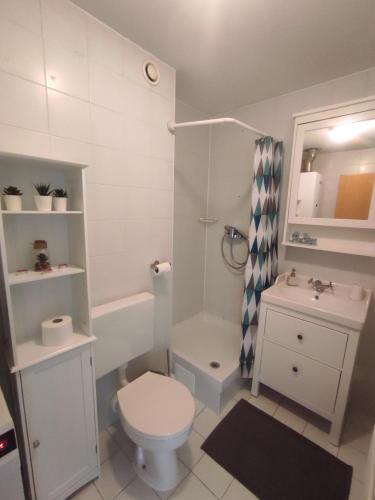ein weißes Bad mit einem WC und einem Waschbecken in der Unterkunft Studio Vela in Izola