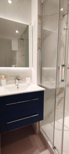 une salle de bain avec un lavabo et une douche dans l'établissement Le Garden - Close to Palais, quiet and comfortable, à Cannes