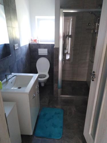 y baño con aseo, lavabo y ducha. en Apartmány Vihorlat III en Kaluža