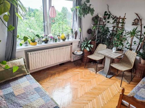 salon z drewnianą podłogą, stołem i krzesłami w obiekcie Instytut Zdrowia i Hortiterapii w mieście Mrągowo