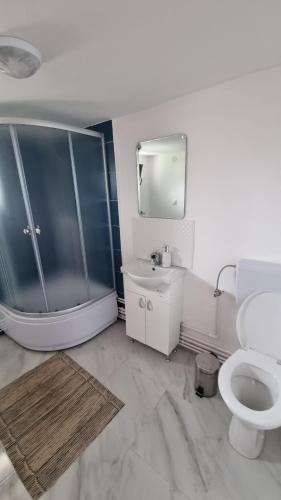 La salle de bains est pourvue d'une douche, d'un lavabo et de toilettes. dans l'établissement Pensiunea Poienita Motilor, à Achimeţeşti