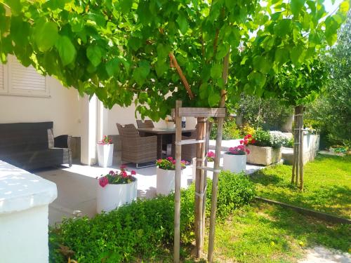 Apartmani Trubi 2