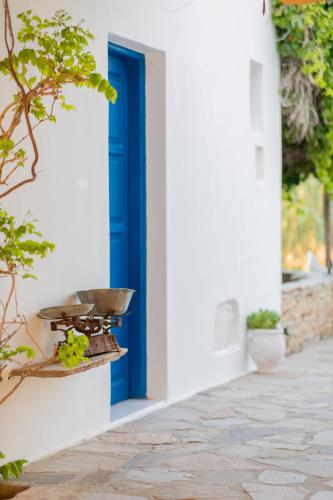 Billede fra billedgalleriet på Antonina Hotel i Agia Anna Naxos