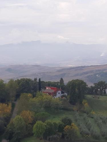 a house in the middle of a field with trees at La Casa di Cesarina in Celle sul Rigo