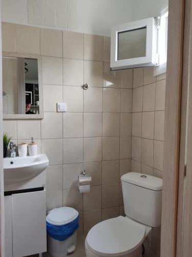 a bathroom with a toilet and a sink at Elina House and Garden in Nikiti