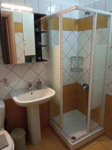 a bathroom with a sink and a shower at Sofia's Garden in Nea Peramos