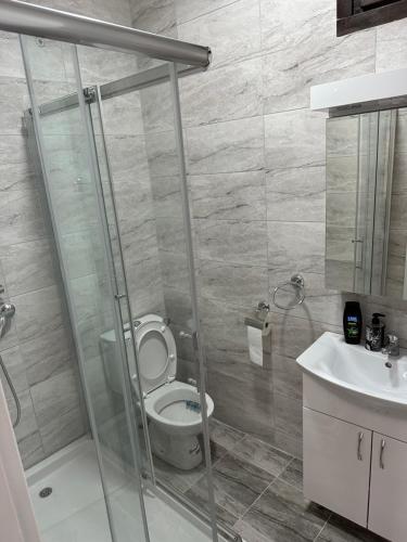 uma casa de banho com um chuveiro, um WC e um lavatório. em Odiseja em Kikinda
