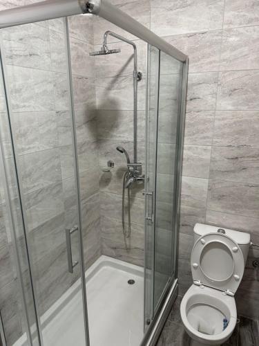 uma casa de banho com um chuveiro e um WC. em Odiseja em Kikinda