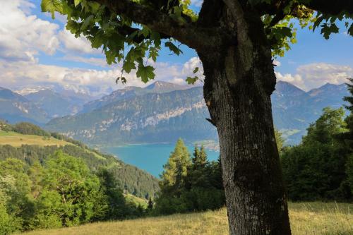 Paesaggio naturale nelle vicinanze dell'hotel