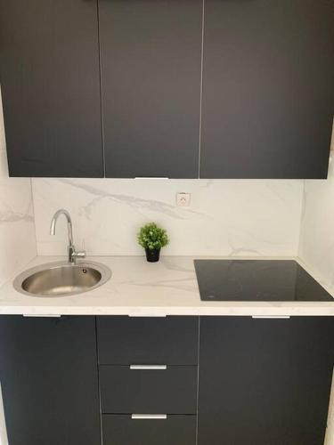 un comptoir de cuisine avec un évier et une plante en pot dans l'établissement T2 NEUF + BATEAU / PISCINE SUPER INFRASTRUCTURES, au Barcarès