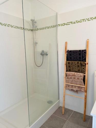 une douche avec une cabine en verre dans une salle de bain dans l'établissement Spacieux 2 pièces Centre Historique Ajaccio, à Ajaccio