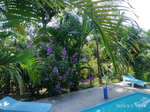 een zwembad met een palmboom en paarse bloemen bij SÍTIO CONQUISTA FELIZ in Nova Iguaçu