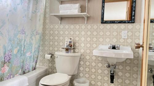 a bathroom with a toilet and a sink and a mirror at Rachel's Motel and Cottages in Surrey