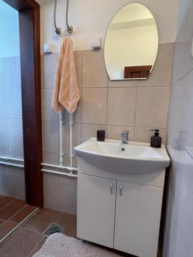 W łazience znajduje się umywalka i lustro. w obiekcie Apartman Zlatić w mieście Mataruška Banja
