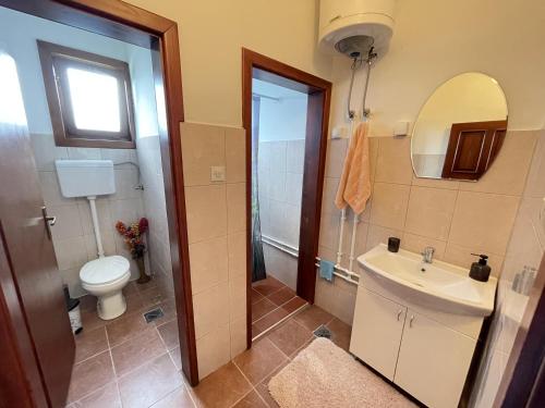 ein Badezimmer mit Waschbecken, Toilette und Spiegel in der Unterkunft Apartman Zlatić in Mataruška Banja