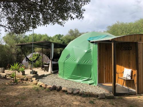 Eco Spirit