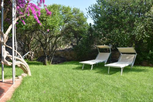 サンタ・マリア・ナヴァッレゼにあるVilla Juniperの庭の芝生に座る椅子2脚