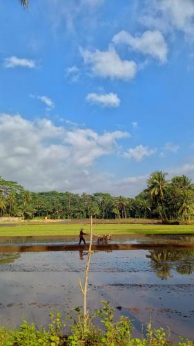 a man walking in the water with two dogs at Susan Homestay in Batukaras