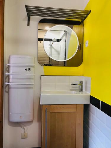 une salle de bain avec un lavabo et un miroir dans l'établissement Jade House Hyper Centre Troyes, à Troyes