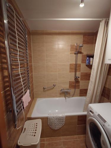 a small bathroom with a tub and a shower at Apartman Hana in Gornja Toplica