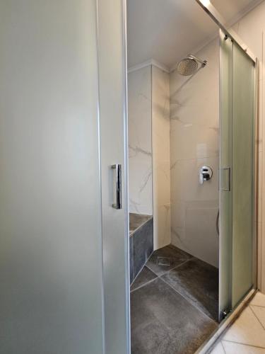 a shower with a glass door in a bathroom at Villa Dennis in Vrahati