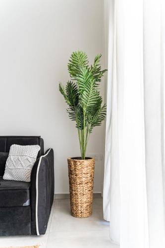 a plant in a basket in a living room next to a couch at Agrippas St 8 - Isrentals in Jerusalem