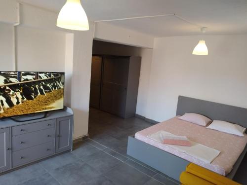 Katil atau katil-katil dalam bilik di Apartmani Radić Rg