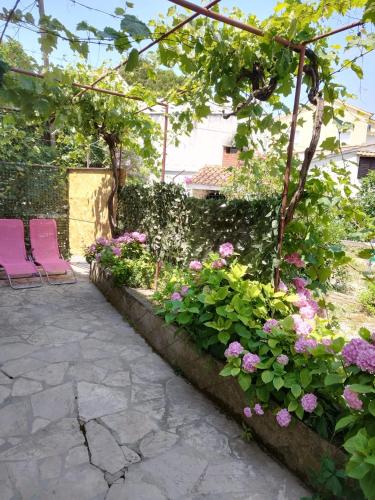 Taman di luar Apartmani Radić Rg
