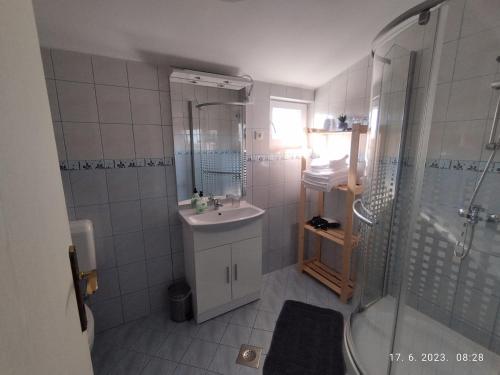 La petite salle de bains est pourvue d'un lavabo et d'une douche. dans l'établissement Apartment Zelena oaza Sisan 75 m2 - 2 bedrooms, à Šišan