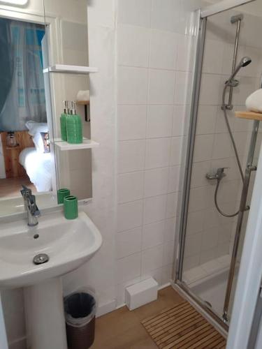 une salle de bain avec un lavabo et une douche dans l'établissement Déco Vintage - 5mn du centre - TV connectée, à Pau