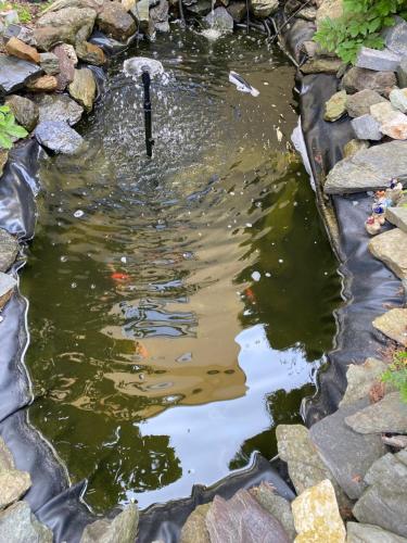 a pond with a stick in the water at Ferienwohnung Goldener Drache in Hohekreuz